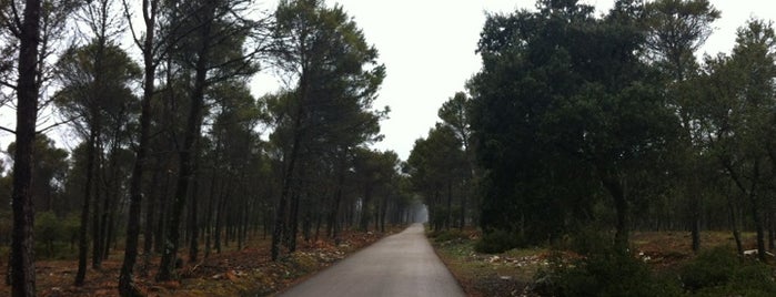 Peña del Aguila is one of Lugares Míticos de Jaén.