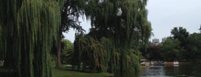 Boston Public Garden is one of Great places to read.