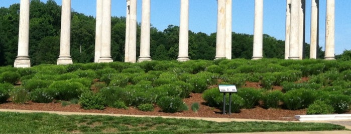 National Capitol Columns is one of DC Dabblin'.