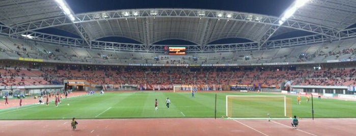 Denka Big Swan Stadium is one of アルビレックス新潟 - Albirex Niigata.