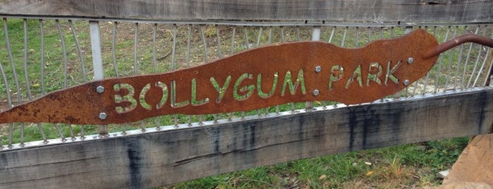 Bollygum Park is one of Great Playgrounds Victoria.