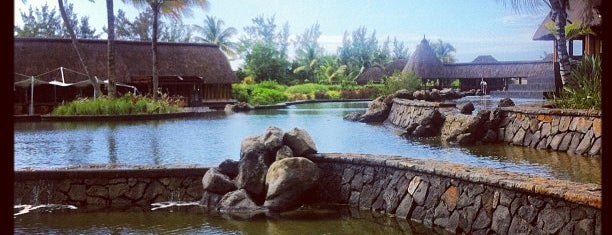 Bambou is one of @ Mauritius ~~the wonderland.