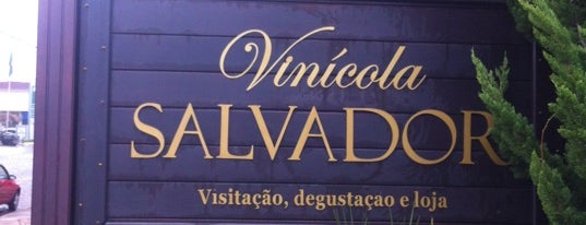 Vinícola Salvador is one of Cantinas e Vinícolas.