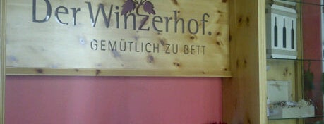 Hotel Der Winzerhof is one of hotels.