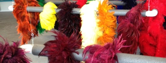 Rainbow Feather Dyeing Company is one of To do sooner.