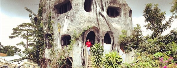 The Crazy House is one of Da Lat.