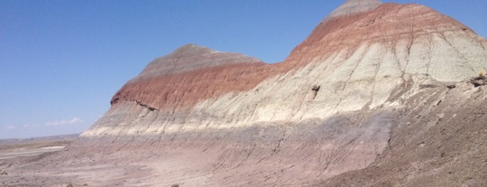 Petrified Forest National Park is one of Historic Route 66.