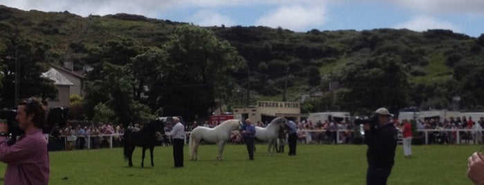 Clifden Show Grounds is one of Events.