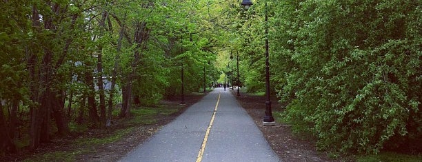 Grove-Cedar Bike Path is one of Nearby Neighborhoods: Davis Square.