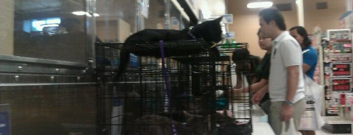 PetSmart is one of Ayana’s Liked Places.