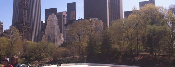 Wollman Rink is one of NYC Christmas bucket list.