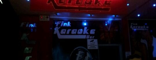 Fink Karaoke Bar is one of Bar | Adana.