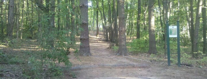 Wickham Park Disc Golf Course is one of Connecticut Disc Golf Courses.