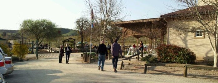 Cass vineyard & winery is one of Santa Barbara, Paso Robles.