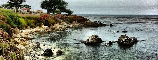 Pacific Grove Recreation Trail is one of Dog-Friendly Monterey Peninsula.