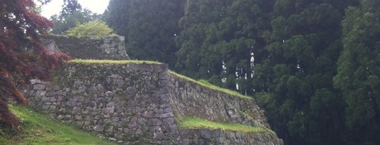 Iwamura Castle Ruins is one of 日本100名城.
