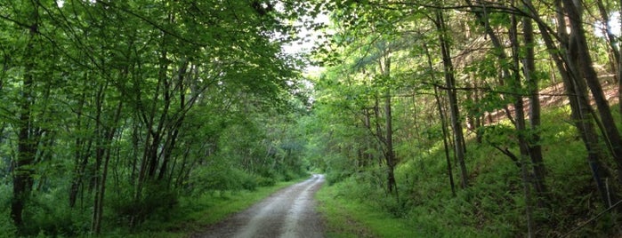 Torrey C. Brown Rail Trail (NCR Trail) is one of Lugares favoritos de Clint.