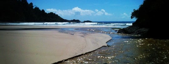 Praia da Engenhoca is one of nowhere else like home...
