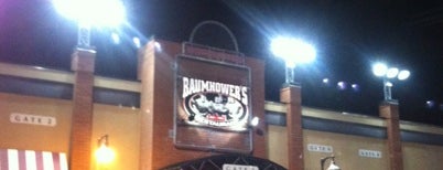 Baumhower's Restaurant is one of Posti che sono piaciuti a Sean.