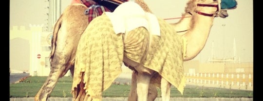 Al Shahaniyah Camel Race Track is one of Doha #4sqCities.