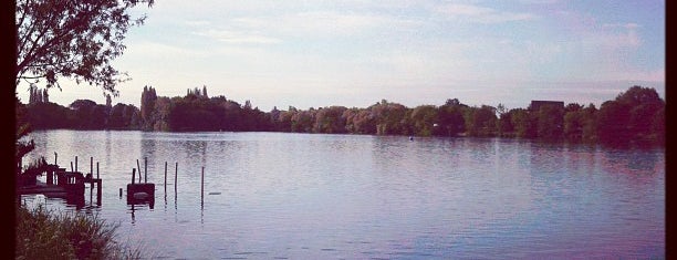 Thorpe Open Water Swimming Lake is one of Lugares favoritos de Viki.