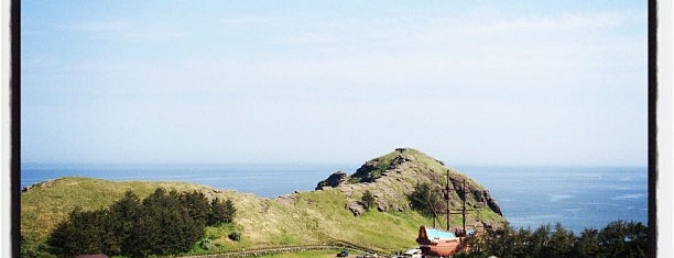 용머리해안 is one of Jeju do.