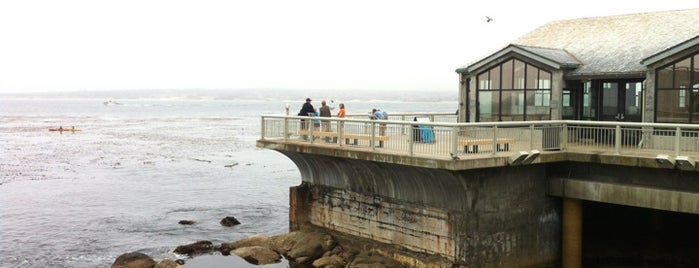 Monterey Bay Aquarium is one of California.