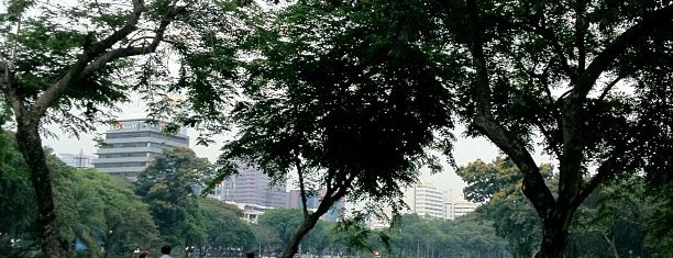Lumphini Park is one of Guide to the best spots in Bangkok.|ท่องเที่ยว กทม.