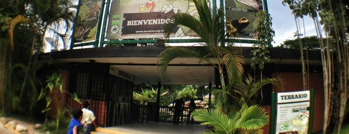 Terrario Parque del Este is one of Zoológicos de Venezuela.