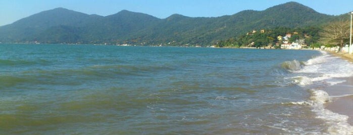 Praia de Caiacangamirim is one of Praias de Florianópolis.