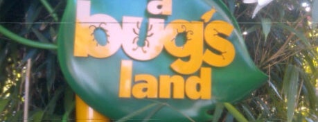 "a bug's land" is one of Disney California Adventure.