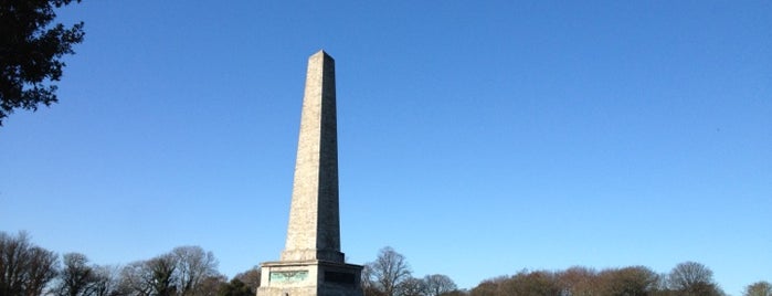 The Wellington Testimonial (The Obelisk) is one of Dublín.