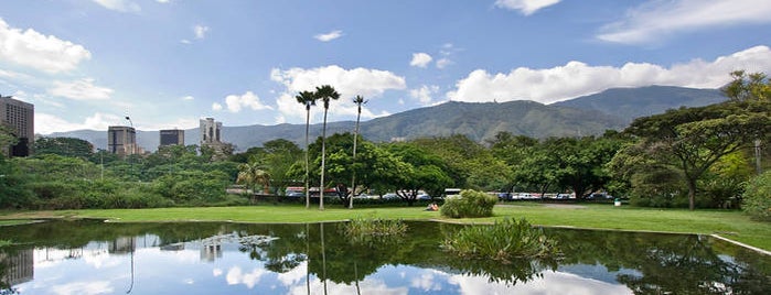 Jardín Botánico de Caracas is one of Actividades al aire libre en Caracas #MeHaceBien.