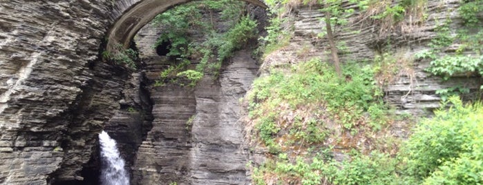Watkins Glen State Park is one of NY Jets Training Camp.
