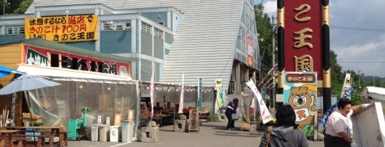 きのこ王国 喜茂別店 is one of Lugares favoritos de makky.