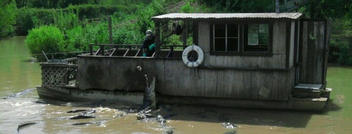 Bayou Pierre Alligator Park is one of East Texas weekend & day Trips.