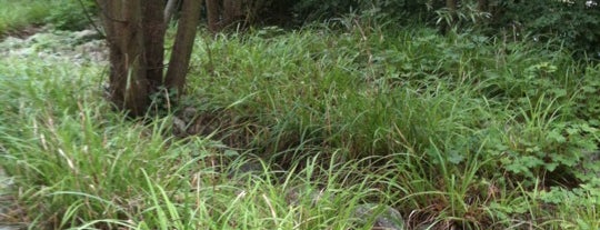 Bois de la Garenne is one of Lieux qui ont plu à Anthony.