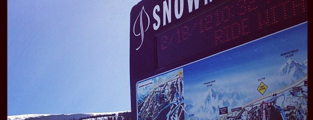 Aspen/Snowmass is one of The Best Skiing in the World.