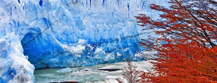 Glaciar Perito Moreno is one of Viaje a Argentina.