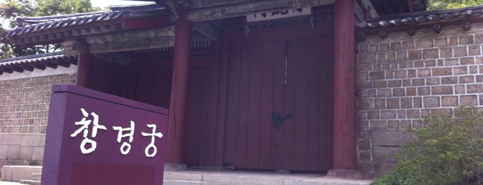 Changgyeonggung is one of Guide to SEOUL(서울)'s best spots(ソウルの観光名所).