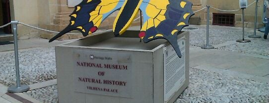 National Museum of Natural History is one of Malta Cultural Spots.