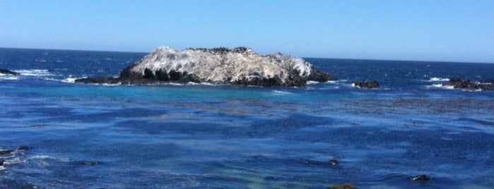 Bird Rock is one of Monterey Spots.
