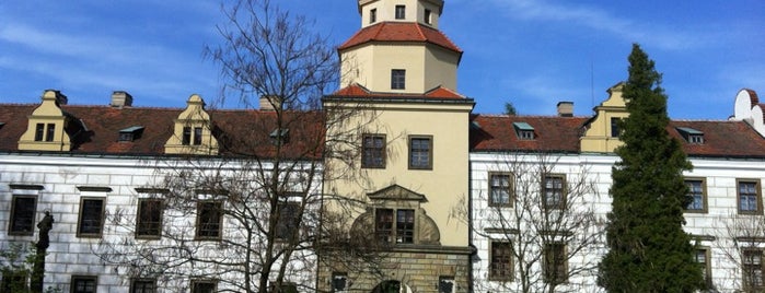 Chateau Častolovice is one of World Castle List.