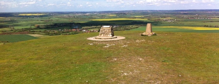 Ivinghoe Beacon is one of Carlさんのお気に入りスポット.
