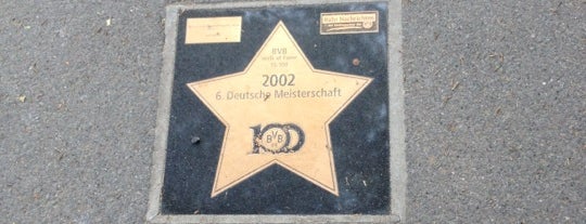 BVB Walk of Fame #93 2002 6. Deutsche Meisterschaft is one of BVB 09 Borussia Dortmund.