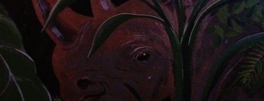 Copper Rhino is one of BJs.