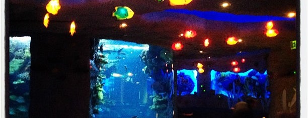 Aquarium Restaurant is one of Nashville Favorites.