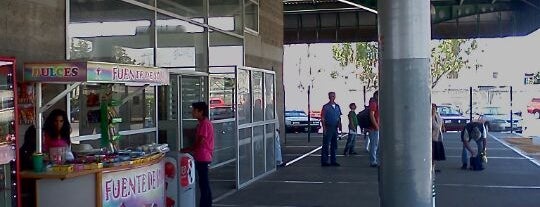 Terminal De Autobuses San Mateo Atenco is one of สถานที่ที่ Enrique ถูกใจ.