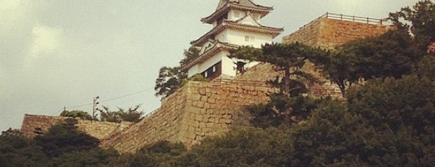 Marugame Castle is one of 日本の歴史公園100選 西日本.