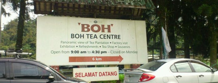 Boh Road Bee Farm is one of Cameron Highlands.
